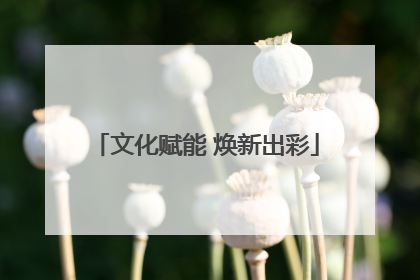 文化赋能 焕新出彩