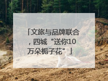 文旅与品牌联合，四城“送你10万朵栀子花”