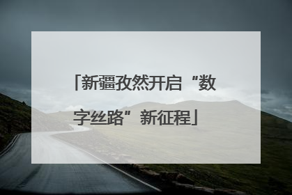 新疆孜然开启“数字丝路”新征程