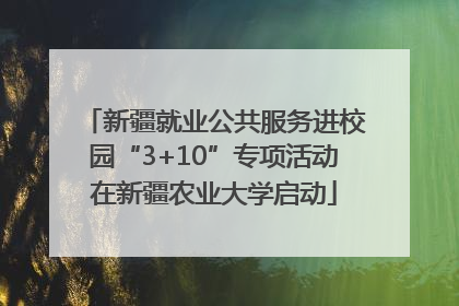 新疆就业公共服务进校园“3+10”专项活动在新疆农业大学启动