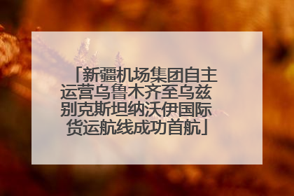 新疆机场集团自主运营乌鲁木齐至乌兹别克斯坦纳沃伊国际货运航线成功首航