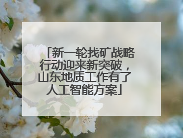 新一轮找矿战略行动迎来新突破，山东地质工作有了人工智能方案