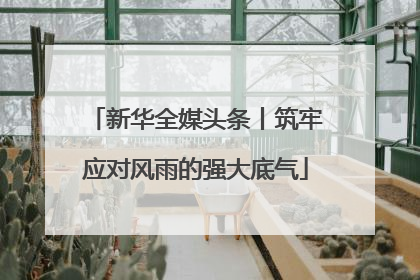 新华全媒头条丨筑牢应对风雨的强大底气