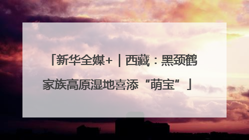 新华全媒+｜西藏：黑颈鹤家族高原湿地喜添“萌宝”