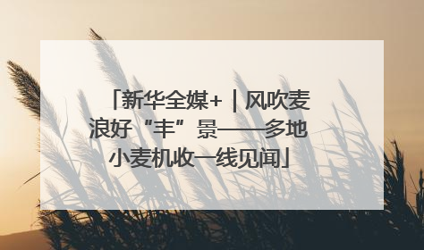 新华全媒+｜风吹麦浪好“丰”景——多地小麦机收一线见闻