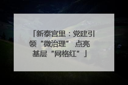 新泰宫里：党建引领“微治理” 点亮基层“网格红”