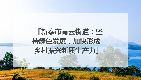 新泰市青云街道：坚持绿色发展，加快形成乡村振兴新质生产力