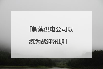 新蔡供电公司以练为战迎汛期