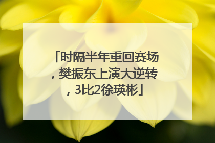 时隔半年重回赛场，樊振东上演大逆转，3比2徐瑛彬