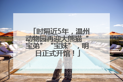 时隔近5年，温州动物园再迎大熊猫“宝弟”“宝妹”，明日正式开馆！