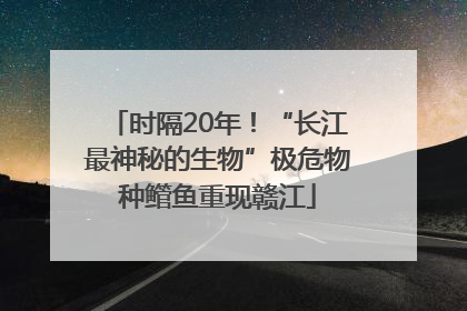 时隔20年！“长江最神秘的生物”极危物种鳤鱼重现赣江