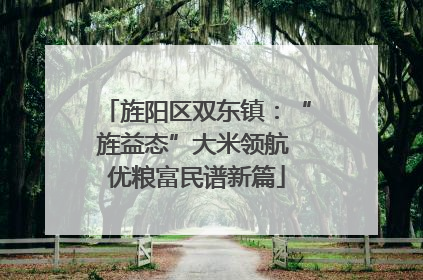 旌阳区双东镇：“旌益态”大米领航 优粮富民谱新篇