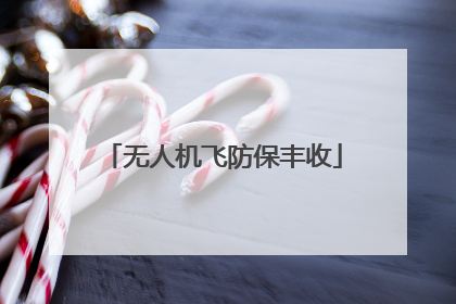 无人机飞防保丰收