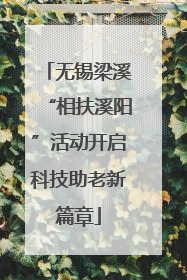无锡梁溪“相扶溪阳”活动开启科技助老新篇章