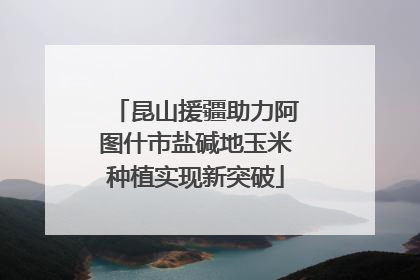 昆山援疆助力阿图什市盐碱地玉米种植实现新突破