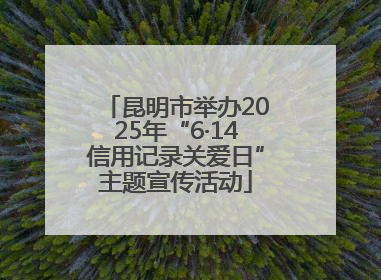 昆明市举办2025年“6·14信用记录关爱日”主题宣传活动