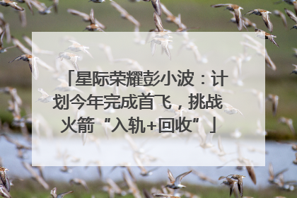星际荣耀彭小波：计划今年完成首飞，挑战火箭“入轨+回收”