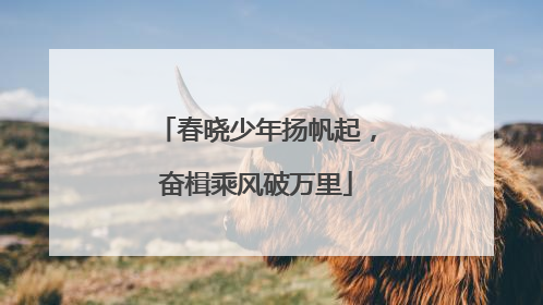 春晓少年扬帆起，奋楫乘风破万里