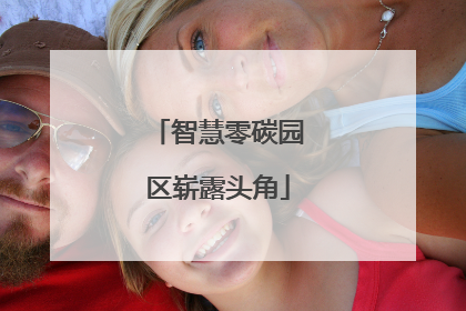 智慧零碳园区崭露头角