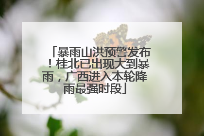 暴雨山洪预警发布！桂北已出现大到暴雨，广西进入本轮降雨最强时段