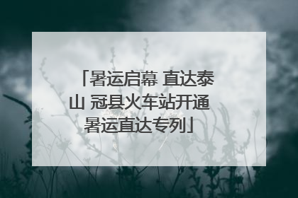 暑运启幕 直达泰山 冠县火车站开通暑运直达专列