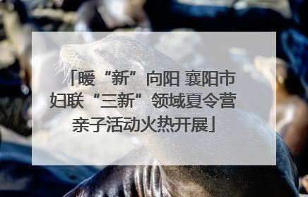 暖“新”向阳 襄阳市妇联“三新”领域夏令营亲子活动火热开展