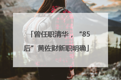 曾任职清华，“85后”黄佐财新职明确