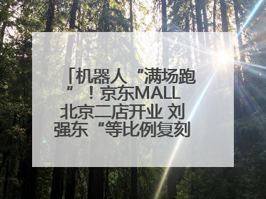 机器人“满场跑”！京东MALL北京二店开业 刘强东“等比例复刻”能否带火线下“618”？