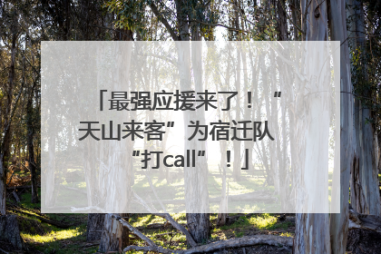 最强应援来了！“天山来客”为宿迁队“打call”！