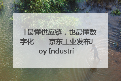 最懂供应链，也最懂数字化——京东工业发布Joy Industrial 重塑工业未来