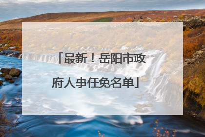最新！岳阳市政府人事任免名单
