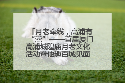 月老牵线，高浦有“囍”——首届厦门高浦城隍庙月老文化活动暨他趣百城见面会隆重举办