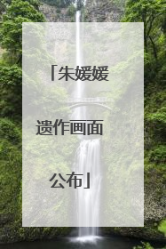 朱媛媛遗作画面公布