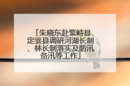 朱晓东赴繁峙县、定襄县调研河湖长制、林长制落实及防汛备汛等工作