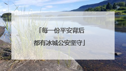 每一份平安背后 都有冰城公安坚守