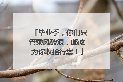 毕业季，你们只管乘风破浪，邮政为你收拾行囊！