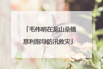 毛伟明在龙山桑植慈利指导防汛救灾