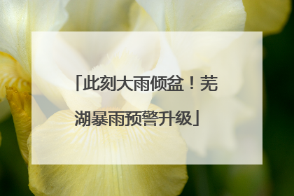 此刻大雨倾盆！芜湖暴雨预警升级
