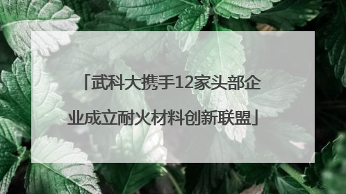 武科大携手12家头部企业成立耐火材料创新联盟