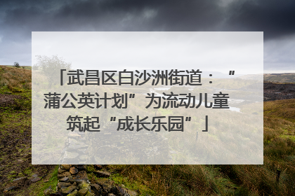武昌区白沙洲街道：“蒲公英计划”为流动儿童筑起“成长乐园”