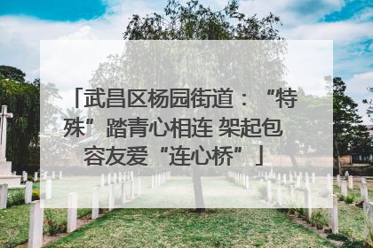 武昌区杨园街道：“特殊”踏青心相连 架起包容友爱“连心桥”