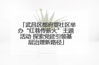武昌区都府堤社区举办“红巷传薪火”主题活动 探索党建引领基层治理新路径