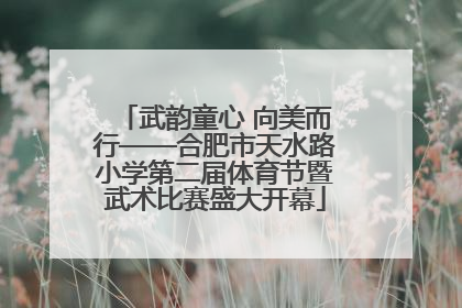 武韵童心 向美而行——合肥市天水路小学第二届体育节暨武术比赛盛大开幕