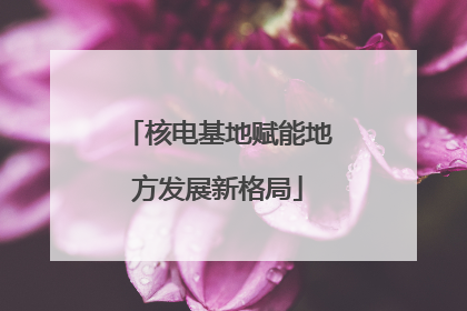 核电基地赋能地方发展新格局