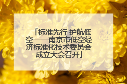 标准先行 护航低空——南京市低空经济标准化技术委员会成立大会召开