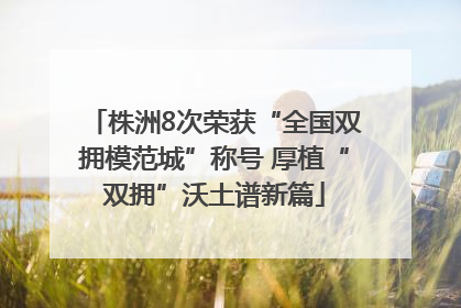 株洲8次荣获“全国双拥模范城”称号 厚植“双拥”沃土谱新篇