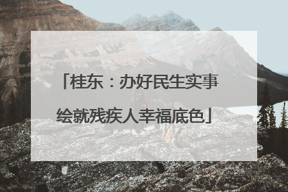 桂东：办好民生实事 绘就残疾人幸福底色