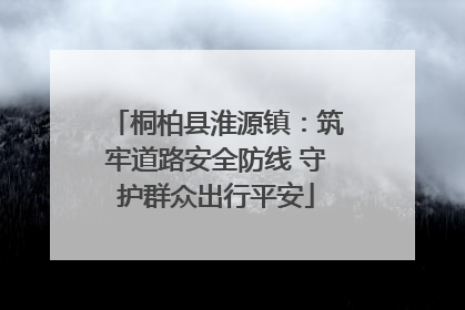桐柏县淮源镇：筑牢道路安全防线 守护群众出行平安