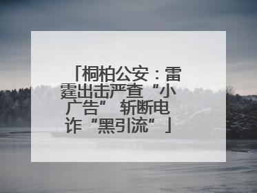 桐柏公安：雷霆出击严查“小广告” 斩断电诈“黑引流”