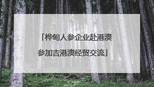 桦甸人参企业赴港澳参加吉港澳经贸交流